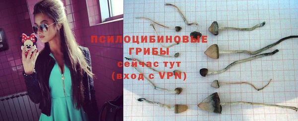 бошки Бугульма