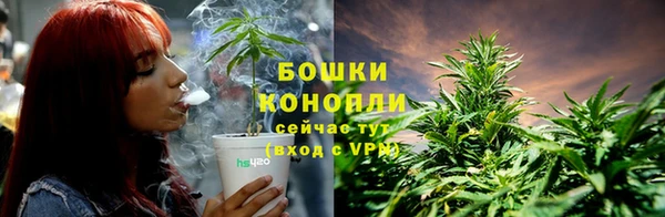 МДМА Бородино
