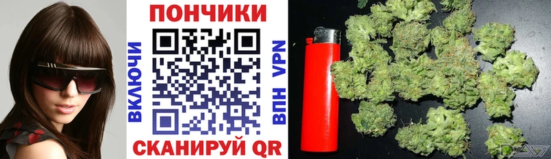 Шишки марихуана THC 21%  продажа наркотиков  Фёдоровский 